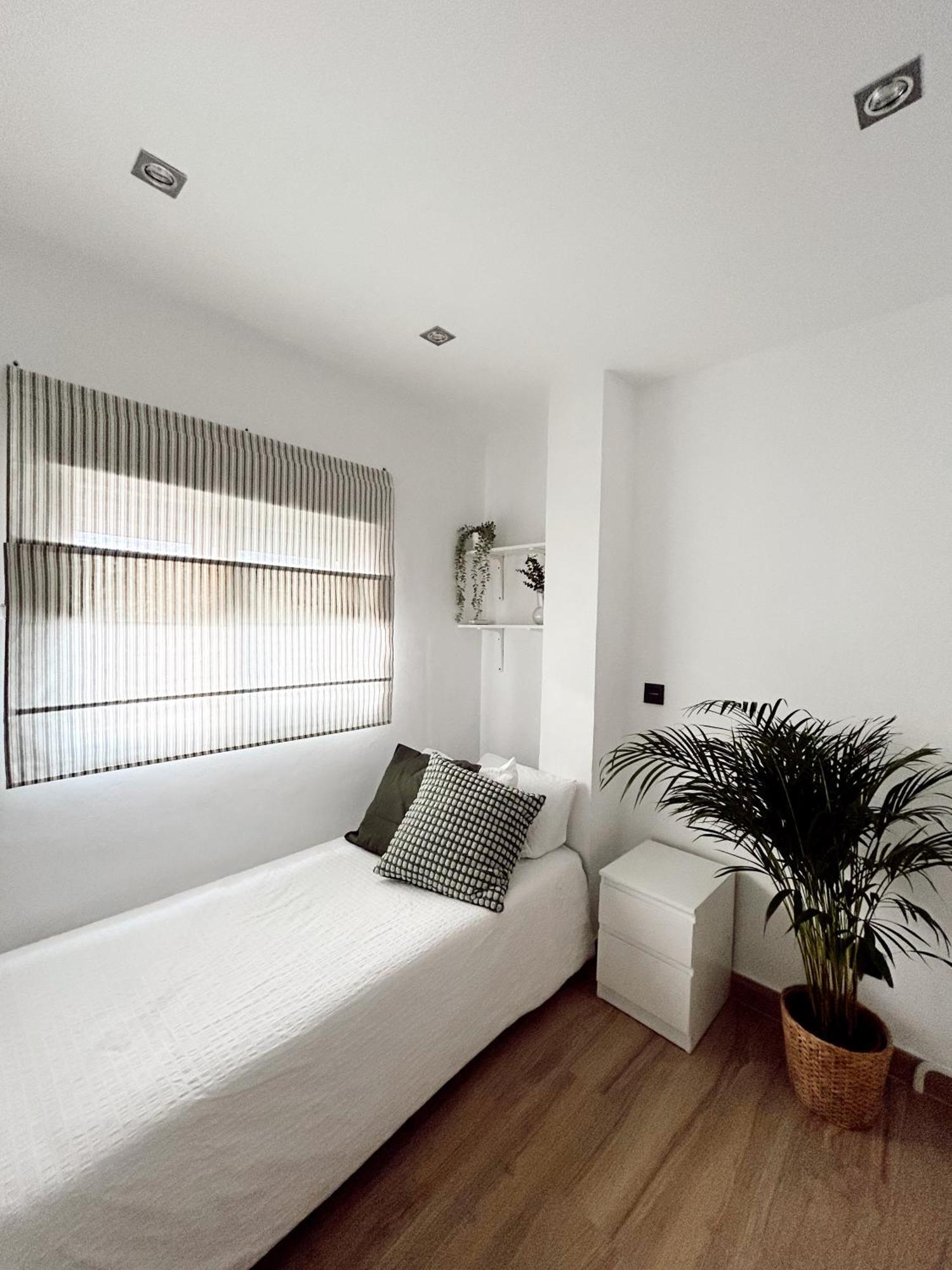 Cosy Trinidad Lejlighed Málaga Eksteriør billede